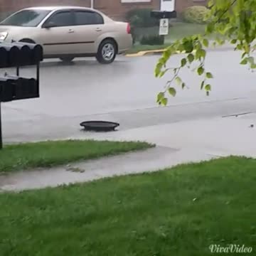 "Noah part two" with bugs building a ship: