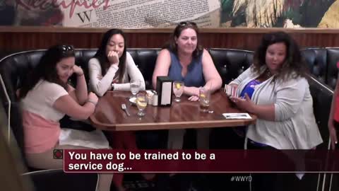 Service Dog and owner were asked to leave restaurant