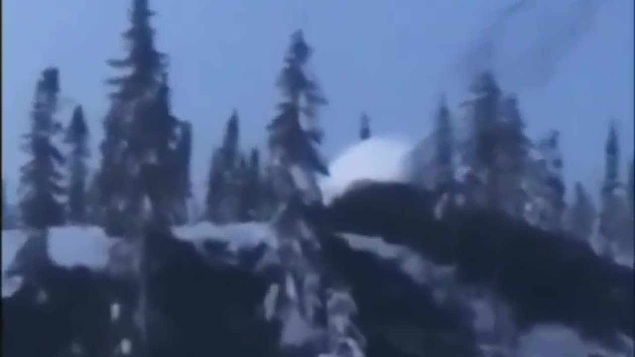 BIGFOOT RIPS TREE OUT OF GROUND