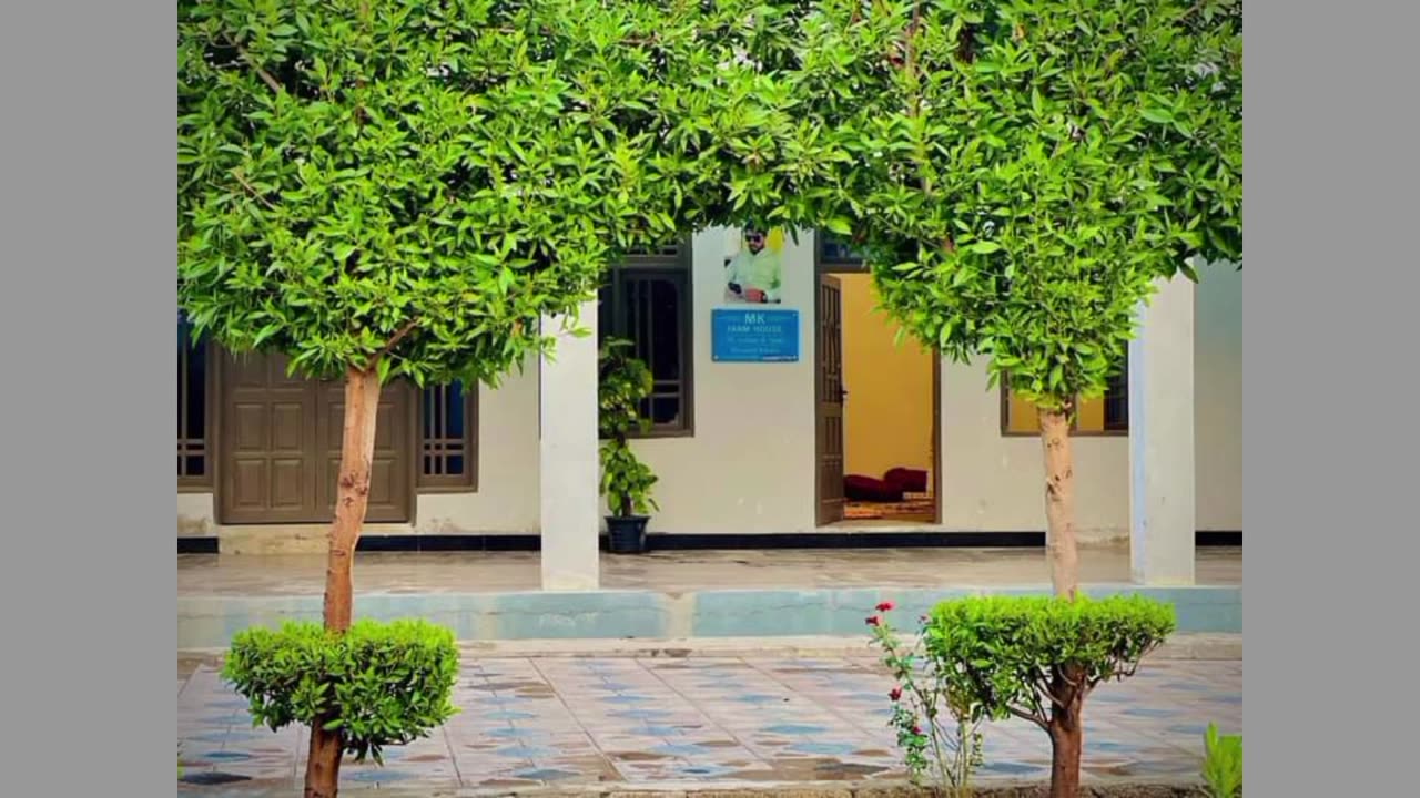 Gardening ideas