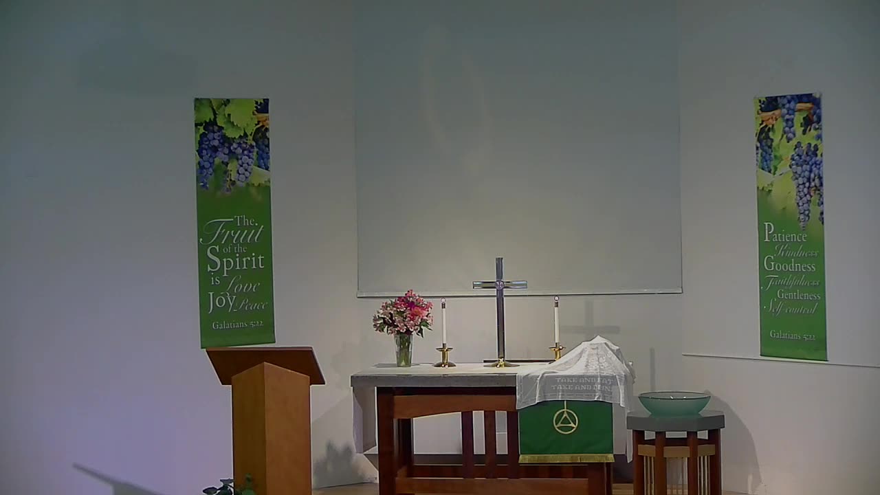 17th Sunday after Pentecost - A Story of Perplexing Generosity