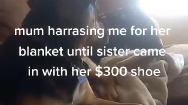 funny dog videos