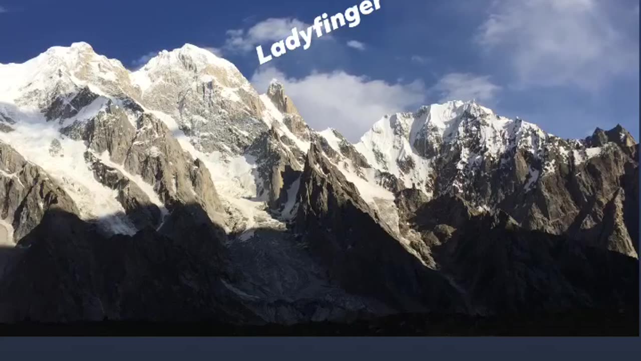 ladyfinger