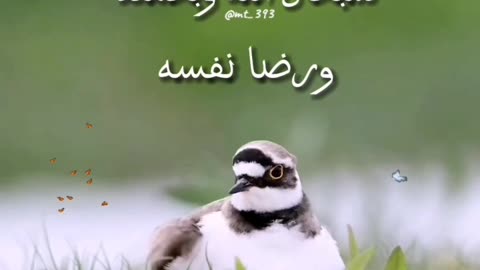 سبحان الله وبحمده عدد خلقه ورضا نفسه وزنة عرشه ومداد كلماته