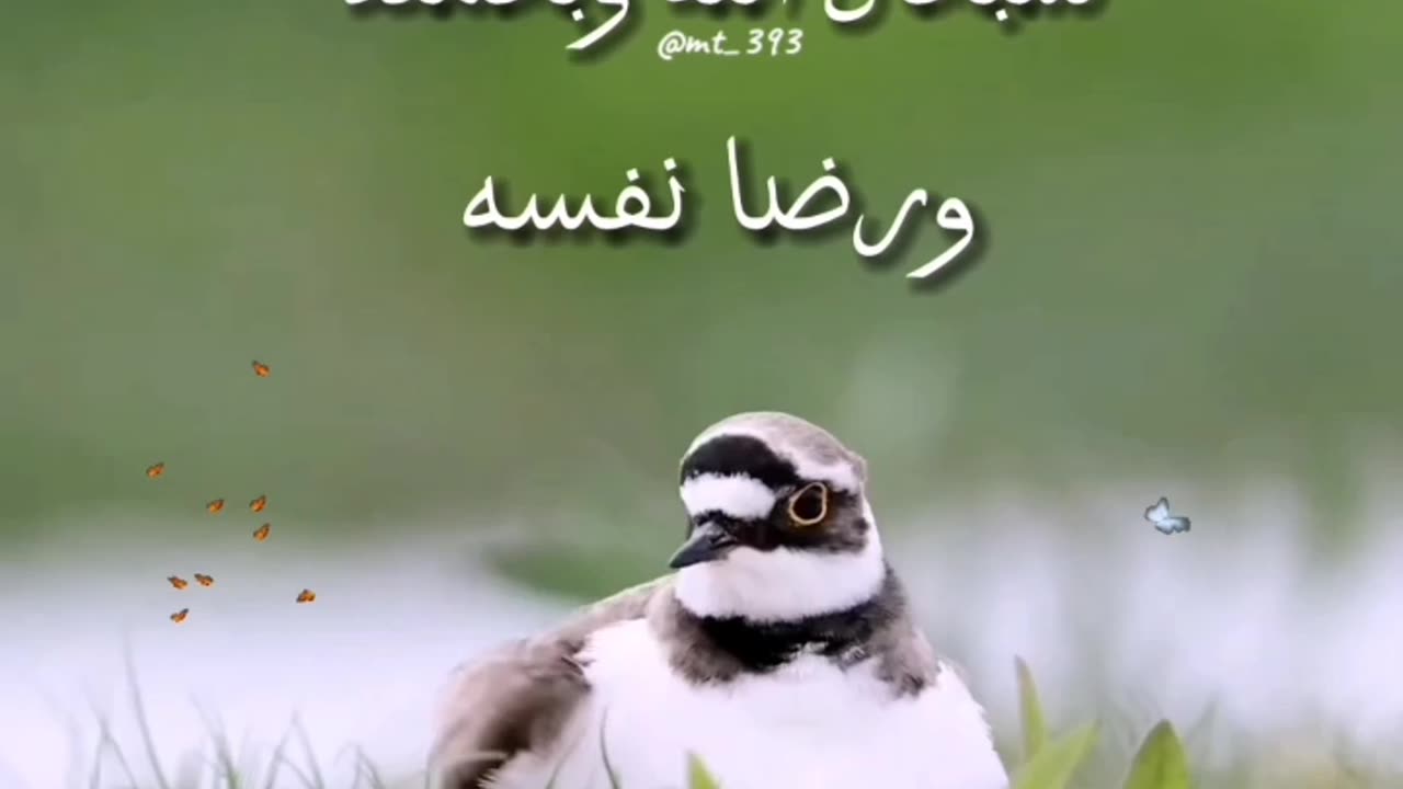 سبحان الله وبحمده عدد خلقه ورضا نفسه وزنة عرشه ومداد كلماته