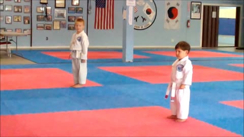 Walker Brigham Yellow Belt Testing 15 Basics