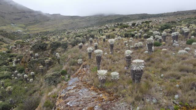 Paramo de Oceta, Colombia by Drone