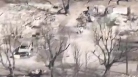 Maui Fires: What Now?