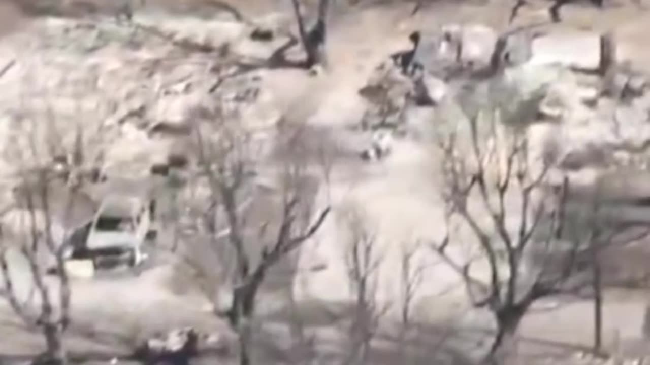 Maui Fires: What Now?