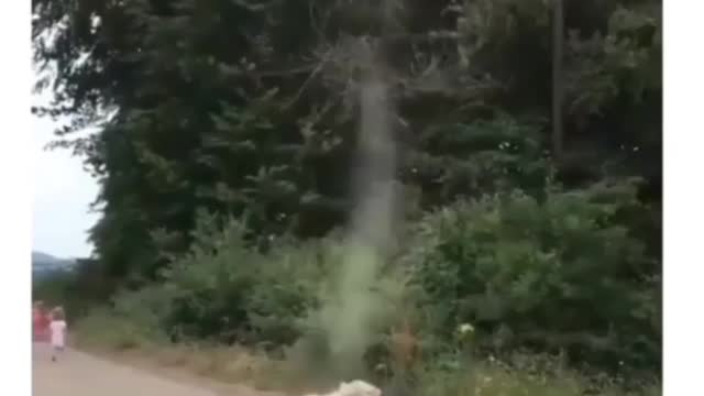 Brave Puppy destroys a tornado and saves the planet🤩😳 cute little dog