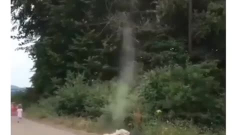 Brave Puppy destroys a tornado and saves the planet🤩😳 cute little dog