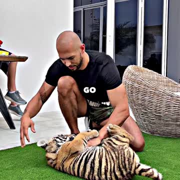 Andrew Tate on the mindset of a winner