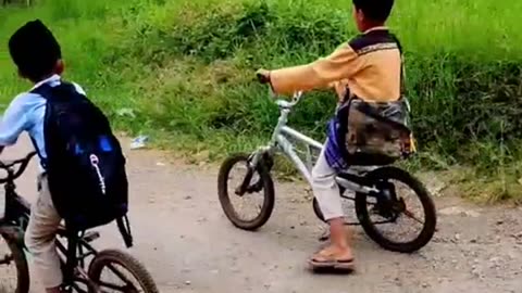small children playing bicycles during the day