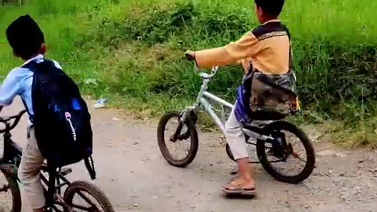 small children playing bicycles during the day