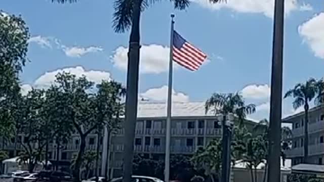 USA Flag & a Palm Tree 56 Second Video Says It all