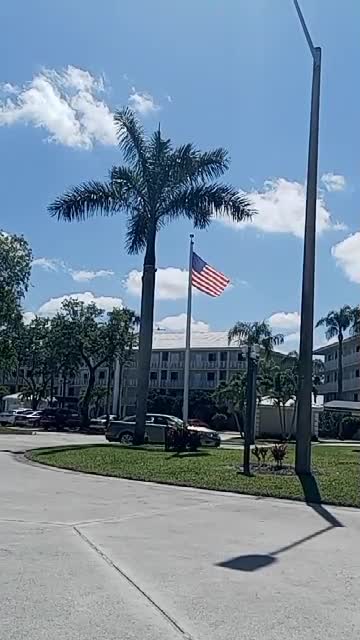 USA Flag & a Palm Tree 56 Second Video Says It all
