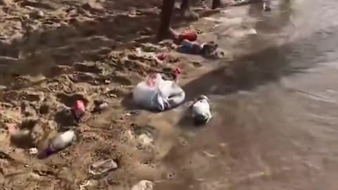 Μοιάζει με Τρίτο Κόσμο, αλλά είναι το Βέλγιο. Τι συμβαίνει στην Ευρώπη;