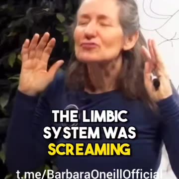 The Power of Chamomile Tea