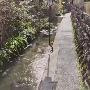 Now that’s what I call landscaping and curb appeal