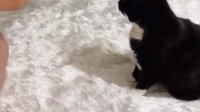 Cute short video | viral cute baby video | cute baby and cat video