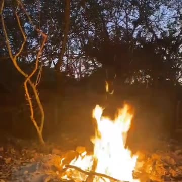 Children enjoying a Bonfire night