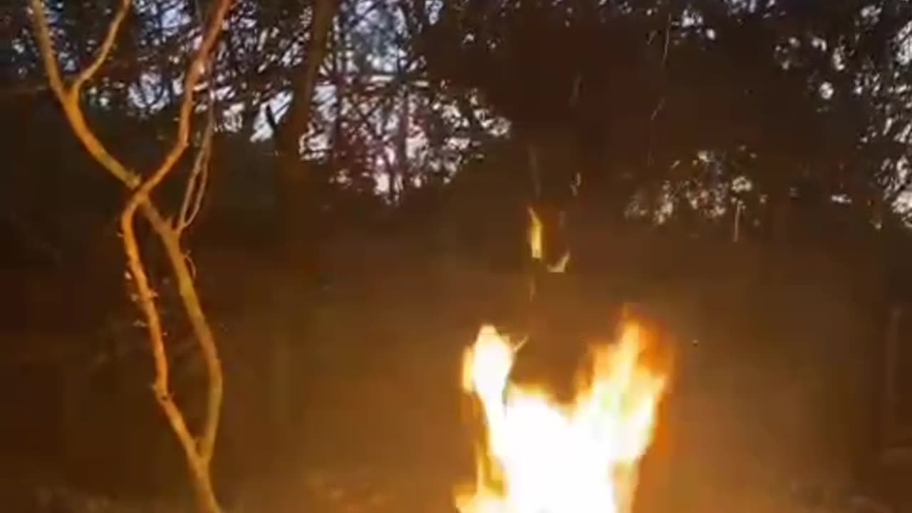 Children enjoying a Bonfire night