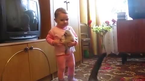 Mama Cat Brings Back a Crying Kitten From Toddler