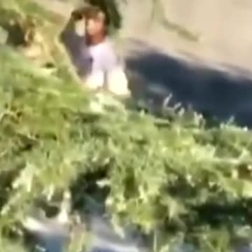 Armed Suspect Takes Female Deputy's Gun...