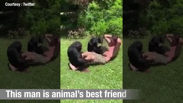 This man is an animals best friend Funniest Animals