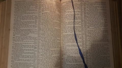 Hosea 8