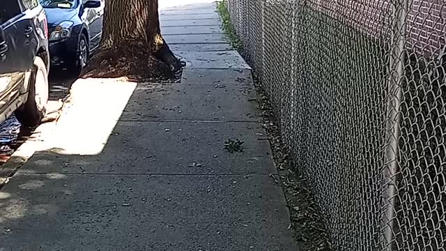 Why women cant handle rejection very well