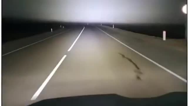 Funny Videos World 12