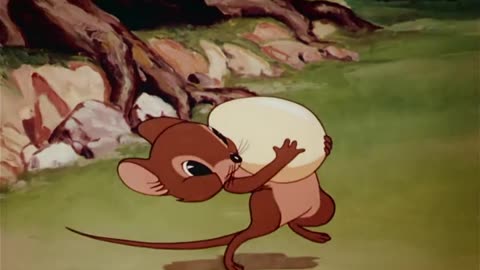 Wacky Wildlife