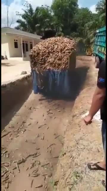 a truck loaded with cassava is not strong enough to climb