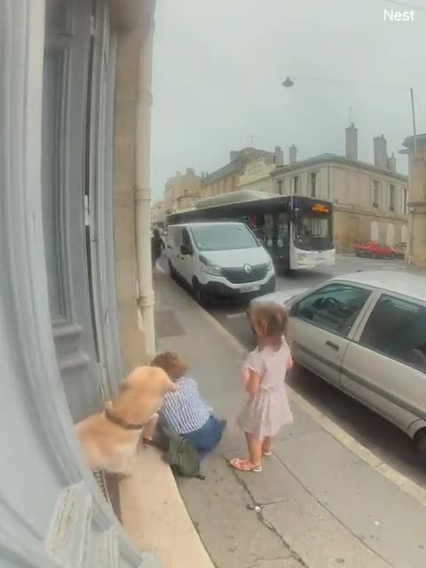 A Black Immigrant Attempts To Kidnap A Young White Girl in France
