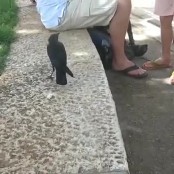 Well, you finally figured it out!