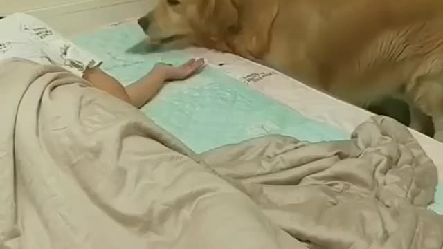 mi amigo tiene sueño