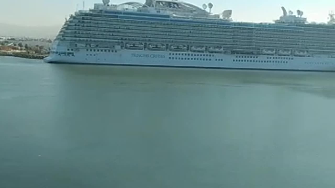 MSC ship 🚢🚢