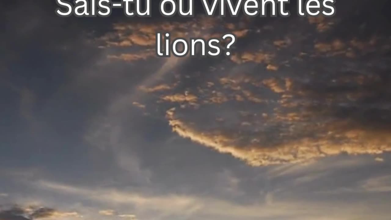 Fait sur le Lion 3 - Sais-tu où vivent les lions?