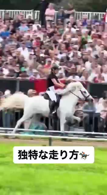 Horse that runs like a human