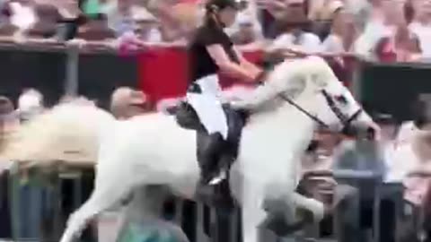 Horse that runs like a human