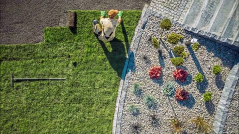 Crown Tree And Landscaping Services LLC