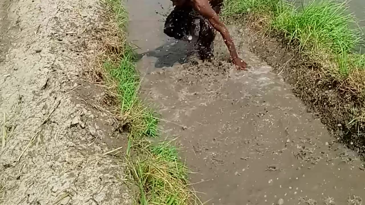 Funny video