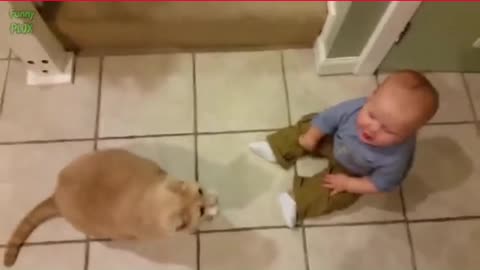 Funny cat enjoy wich baby