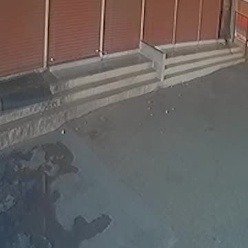 Quick-thinking boy calmly exits as leopard enters building - SHOT NEWS.