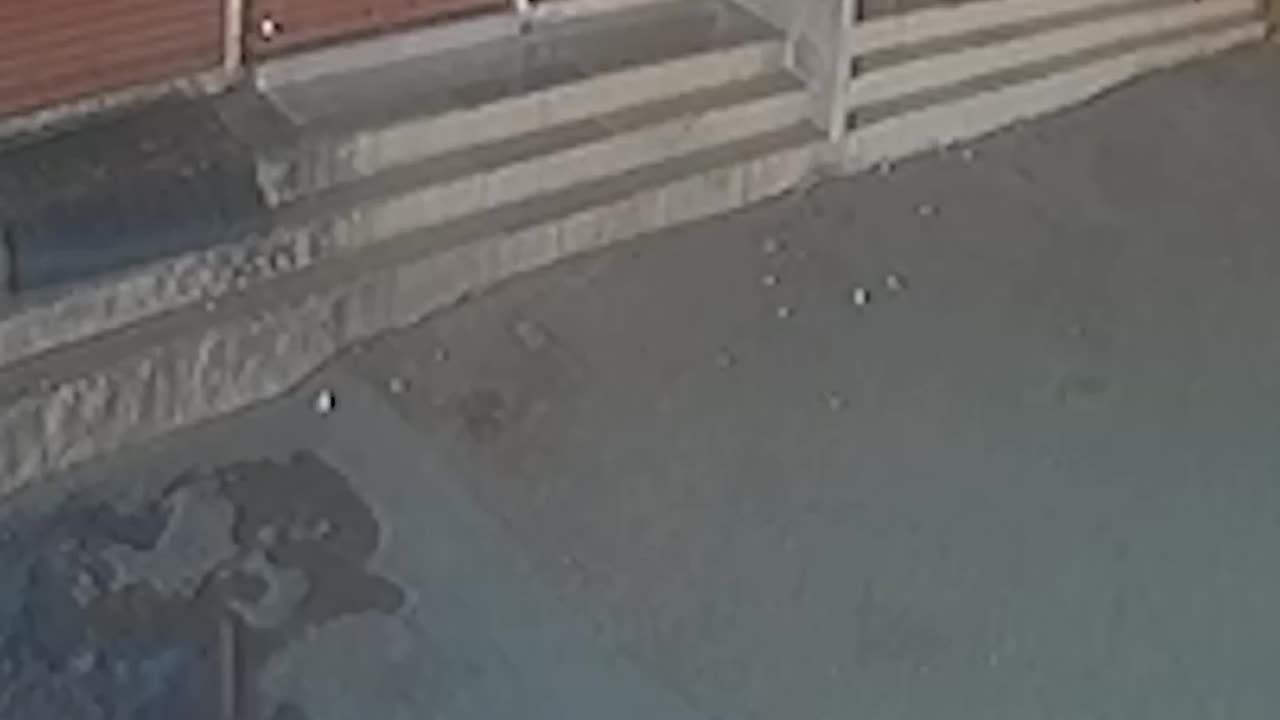 Quick-thinking boy calmly exits as leopard enters building - SHOT NEWS.