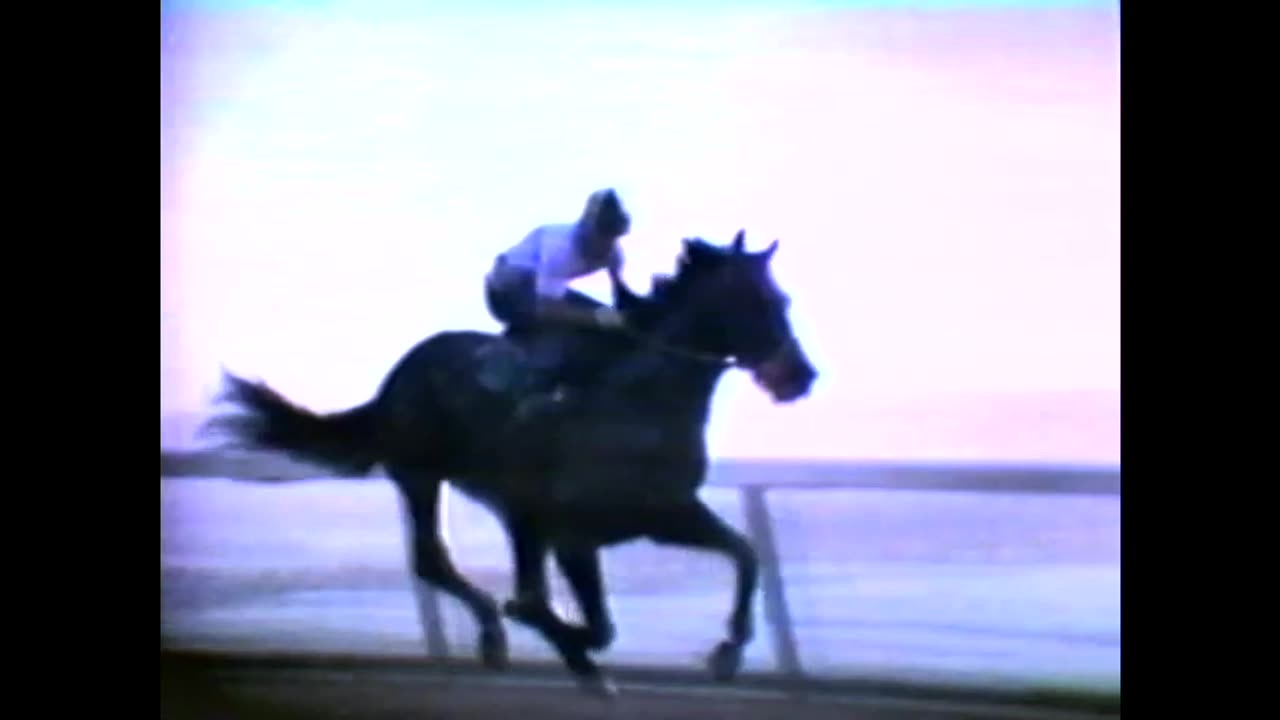 1989 - Promo for Jewels of the Triple Crown'