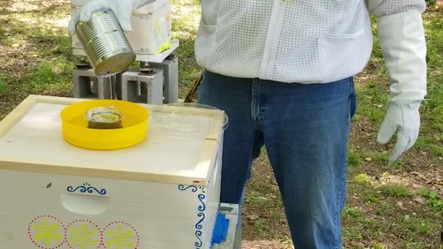 The Santorini Bee Hive, the bees arrive