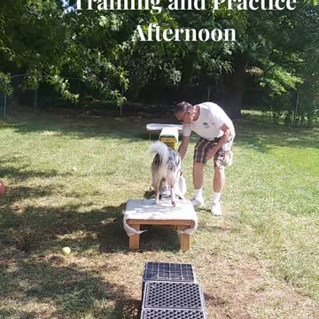 Ruff Cut PodCast: Raised Platform and Balance Beam part 4 afternoon training cut d