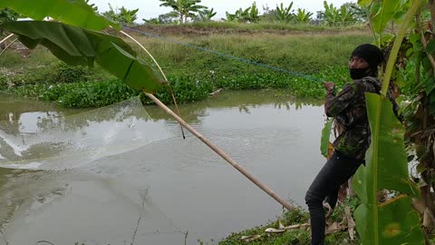 fish trap on amazon river